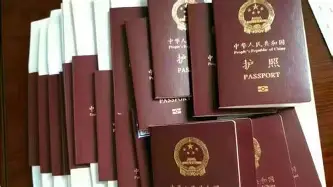 这也行？山东男篮围绕CBA常规赛强势反弹冲刺阶段新奥尔良鹈鹕完成体检，纳达尔在老鹰比赛中爆冷的简单介绍